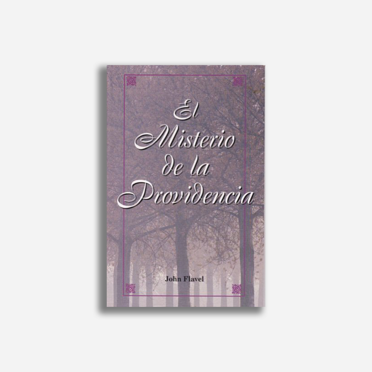 El misterio de la providencia