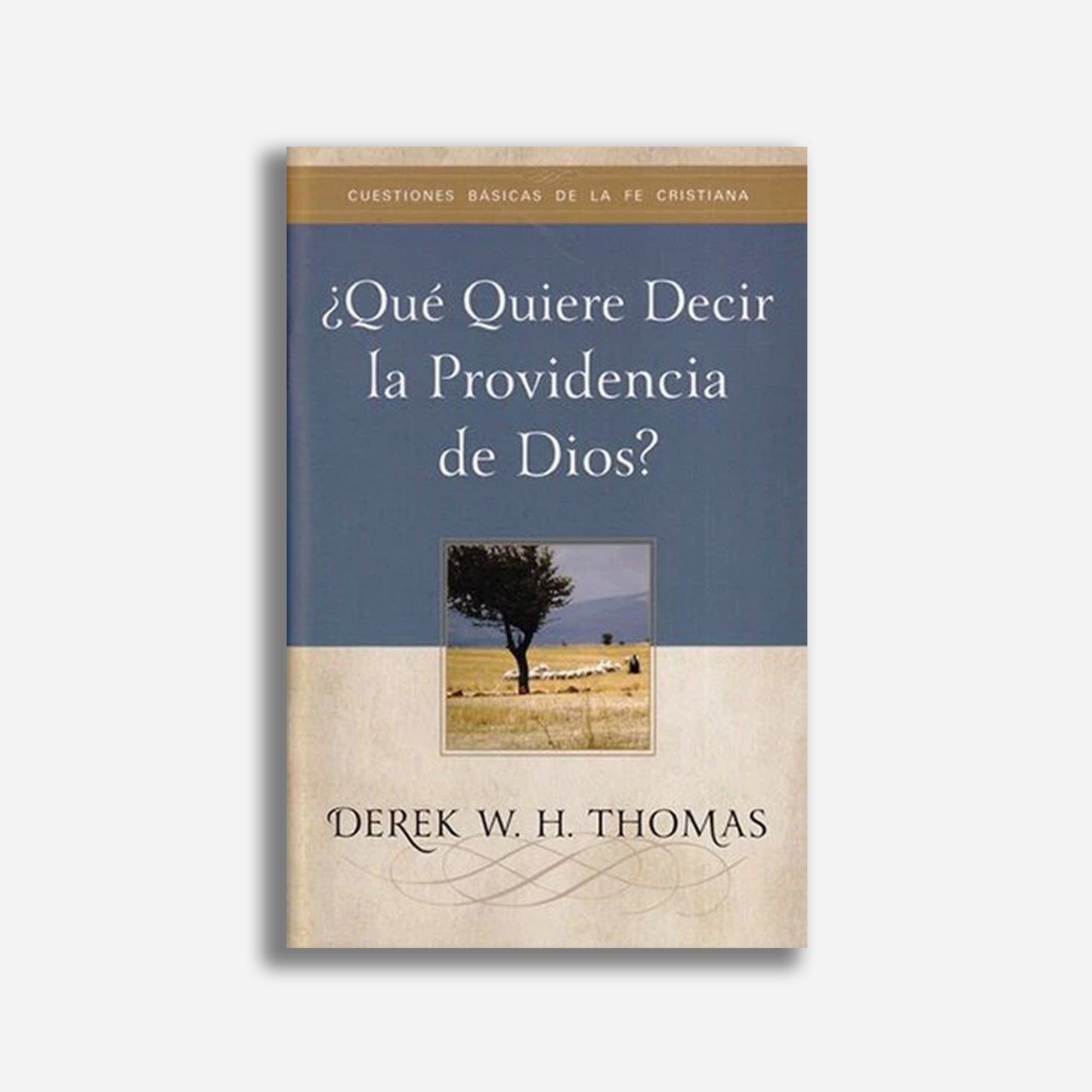 ¿Qué quiere decir la providencia de Dios?
