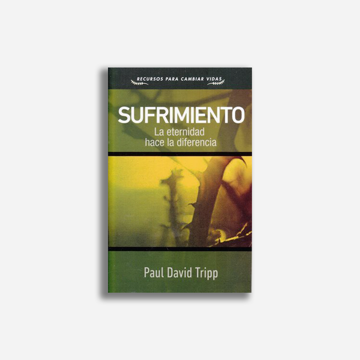 Sufrimiento: La eternidad hace la diferencia