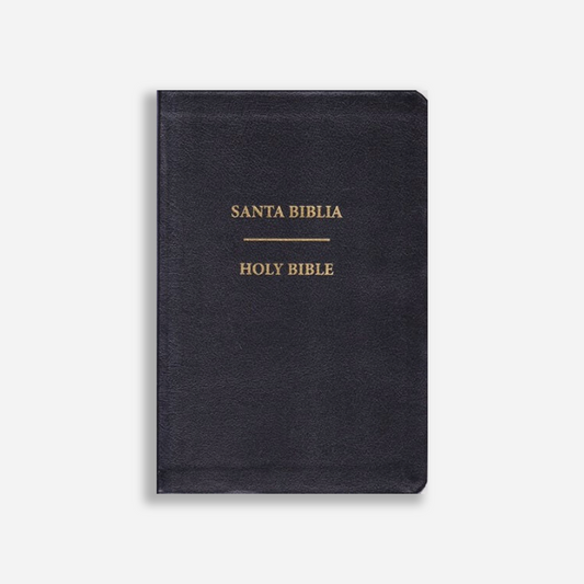 Biblia Bilingüe / Bi-lingual Bible Versión Valera 1602 / Geneva Bible 1599