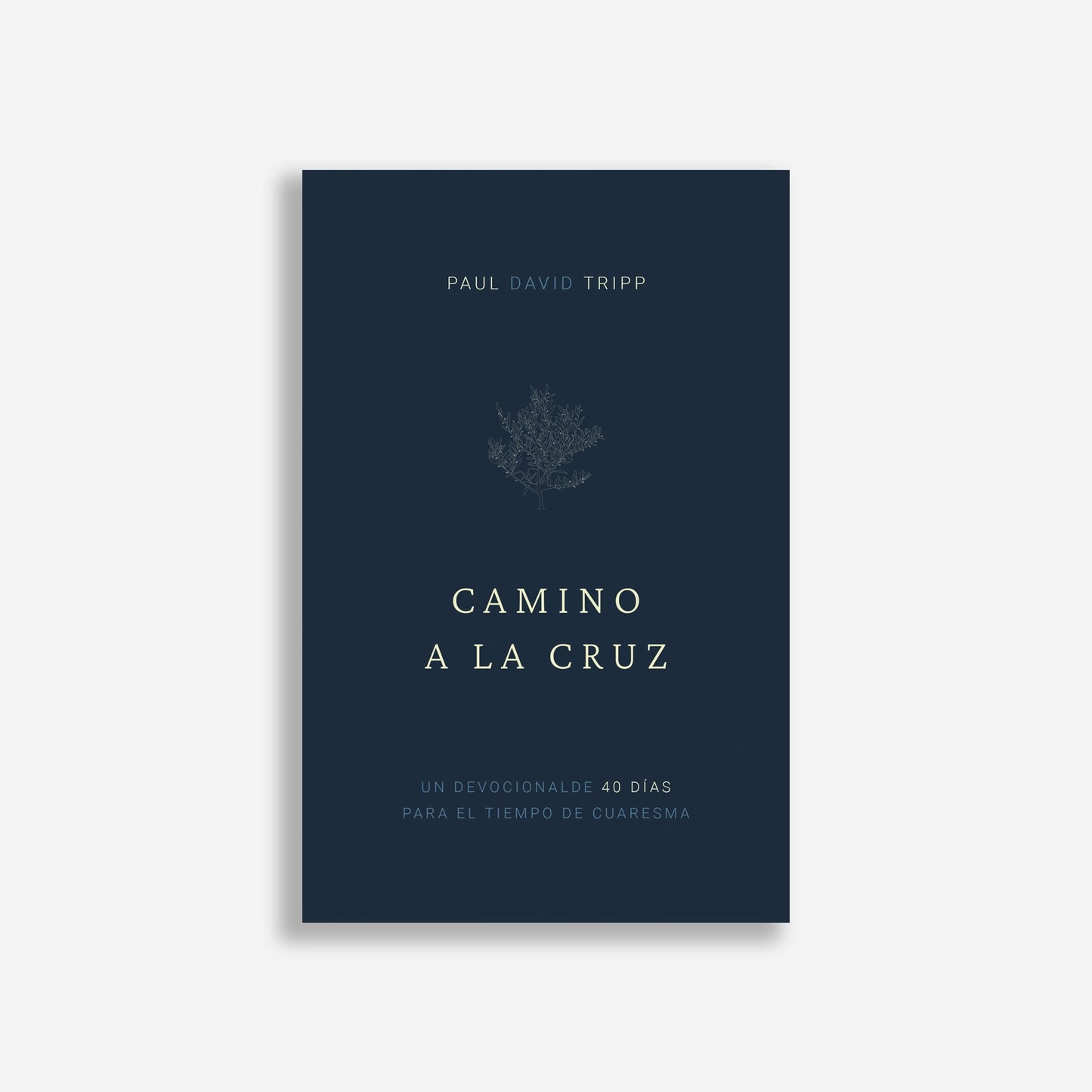 Camino a la cruz